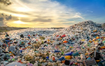 55443_plastics-marine-life-and-a-giant-floating-island-of-trash-772x485-1.jpeg